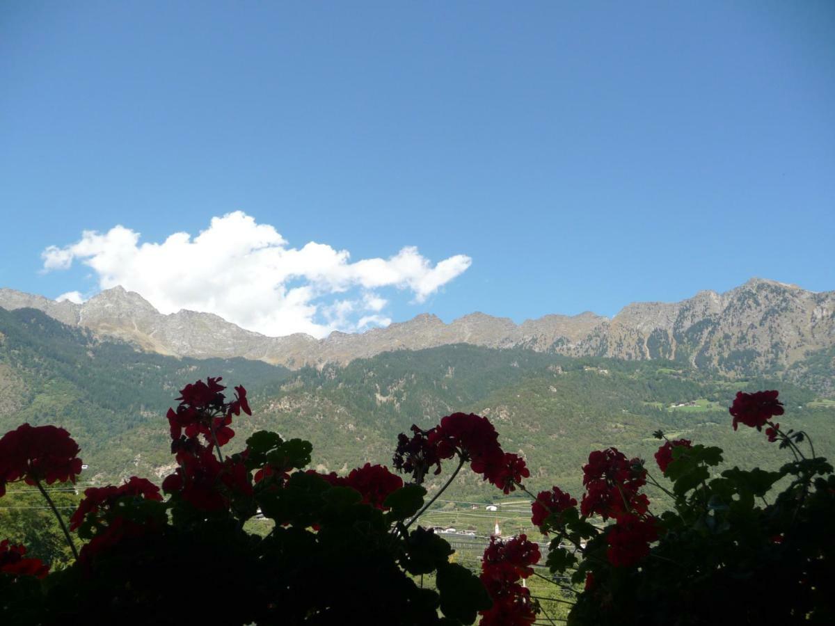 Ferienwohnungen Obermoarhof Lagundo Bagian luar foto